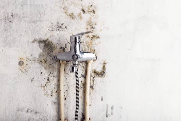 Best Mold Testing  in Babbitt, MN