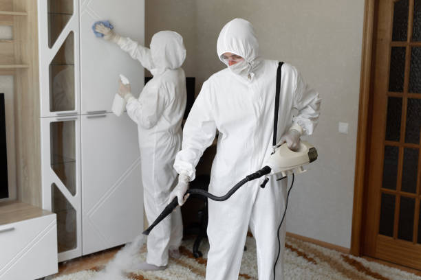 Attic Mold Removal in Babbitt, MN