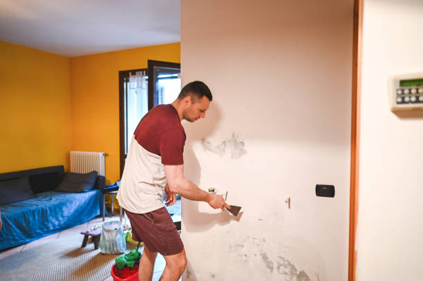Best Water Damage Restoration  in Babbitt, MN